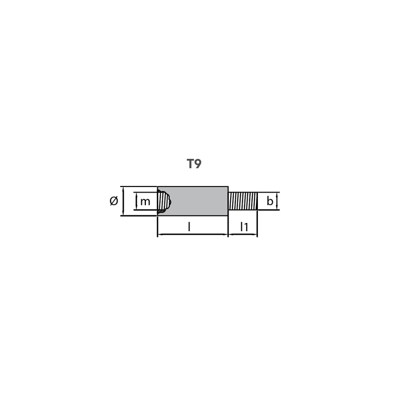 Sinkanode Volvo Penta Tannhjul, tråd hann og hunn 1 16x42, 5 mm, motor anode, VP 838929, R800714